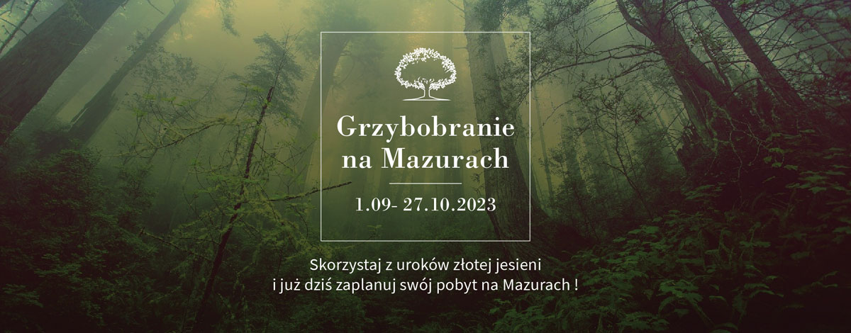 baner_w_ofercie_Grzybobrani baner_w_ofercie_Grzybobrani
