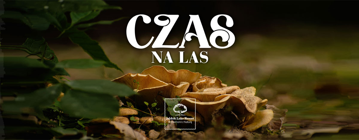 czas-na-las-1 czas-na-las-1